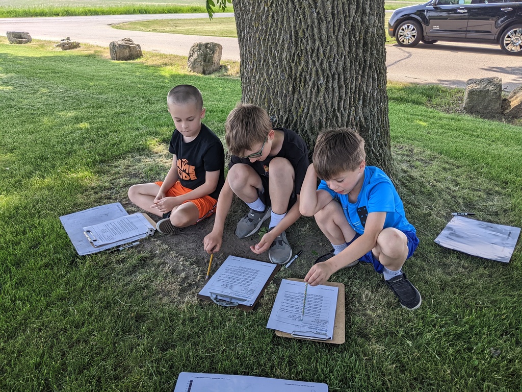 Students working outside