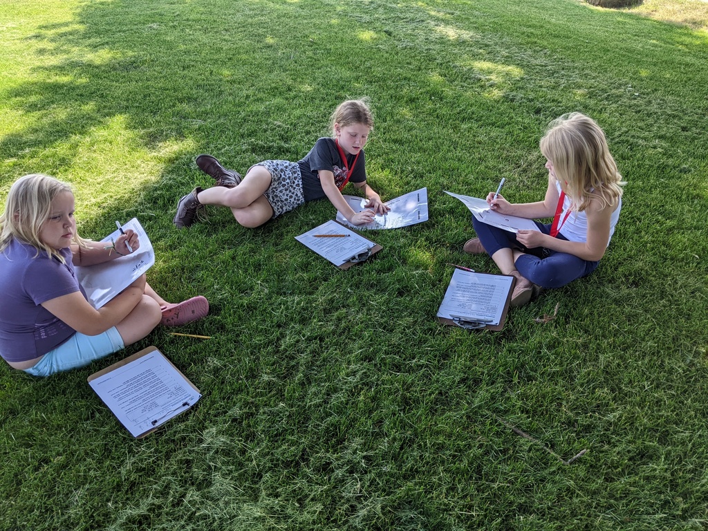Students working outside