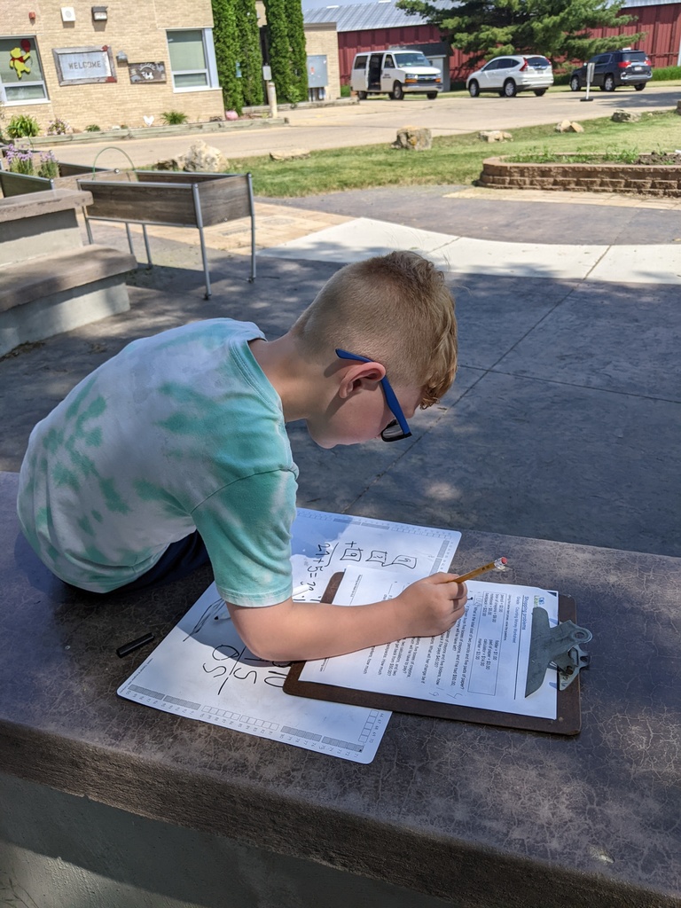 Students working outside
